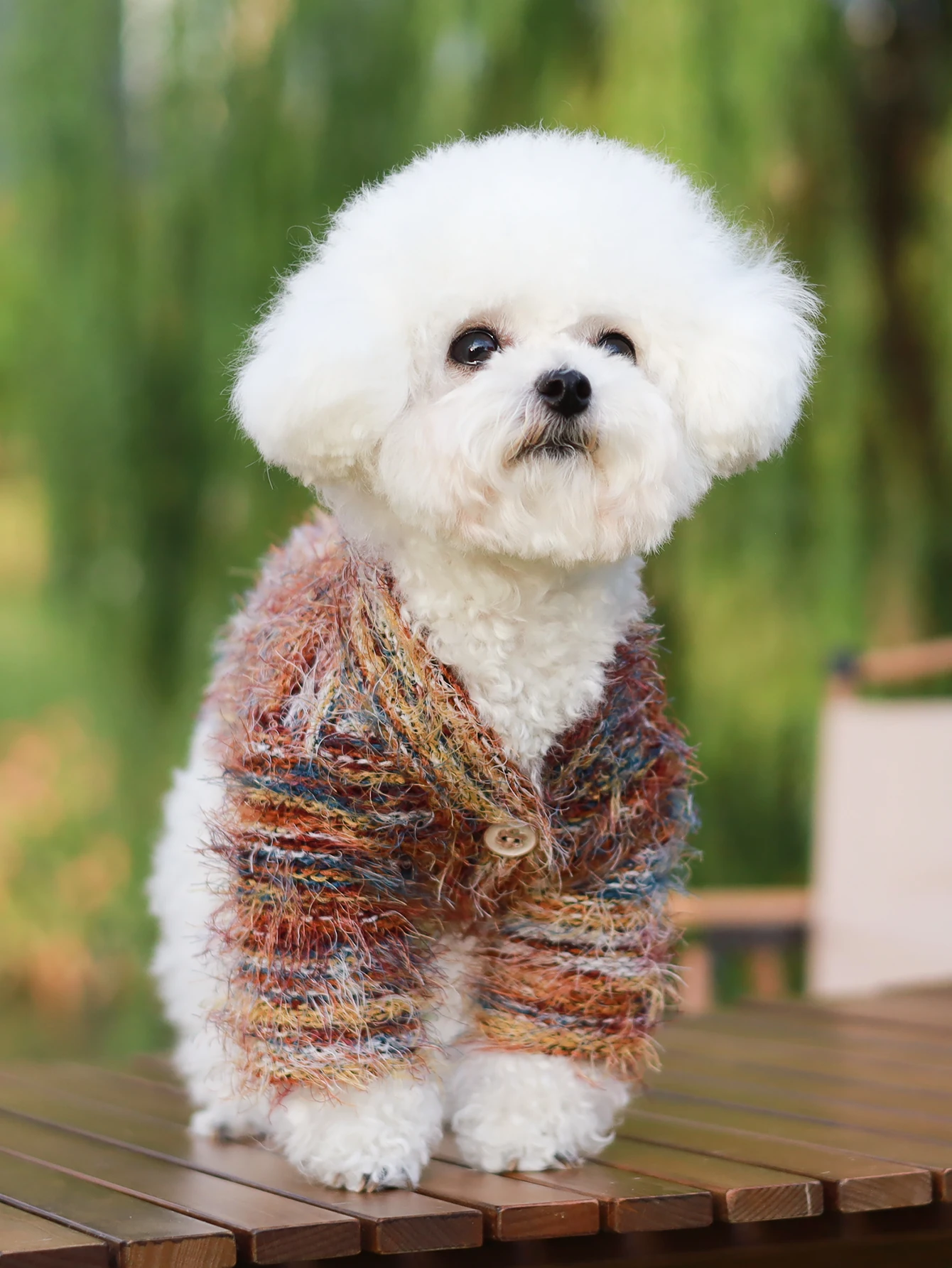 Dog clothing with buttons, easy to wear and match, thin style, spring and autumn tassel pet sweater, small and medium-sized dog