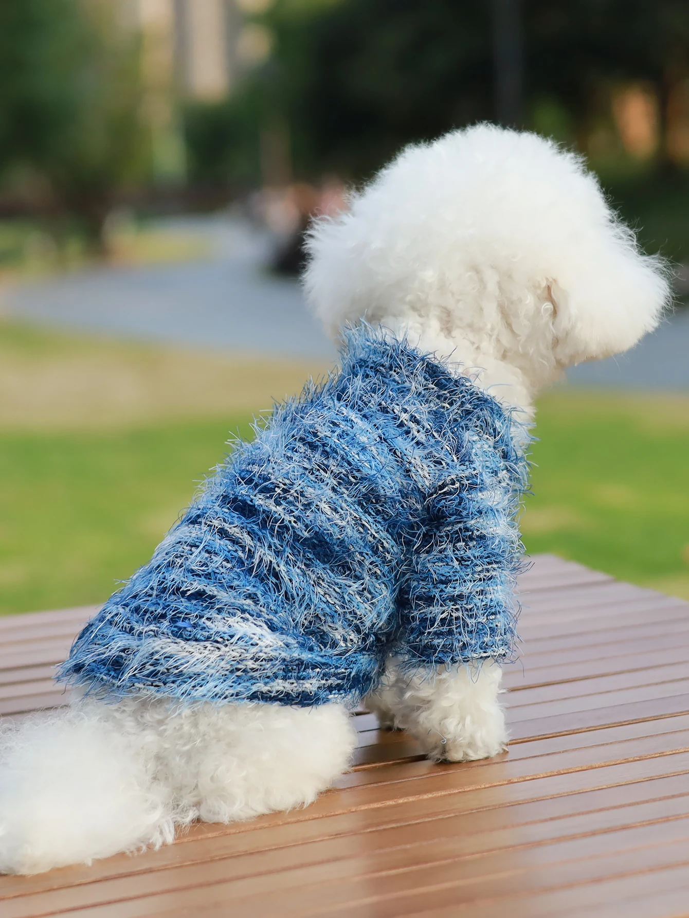 Dog clothing with buttons, easy to wear and match, thin style, spring and autumn tassel pet sweater, small and medium-sized dog - Image 2